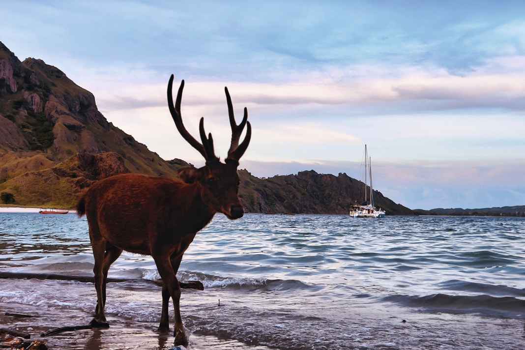 Indonesien-Mit-dem-Katamaran-auf-Inseltour