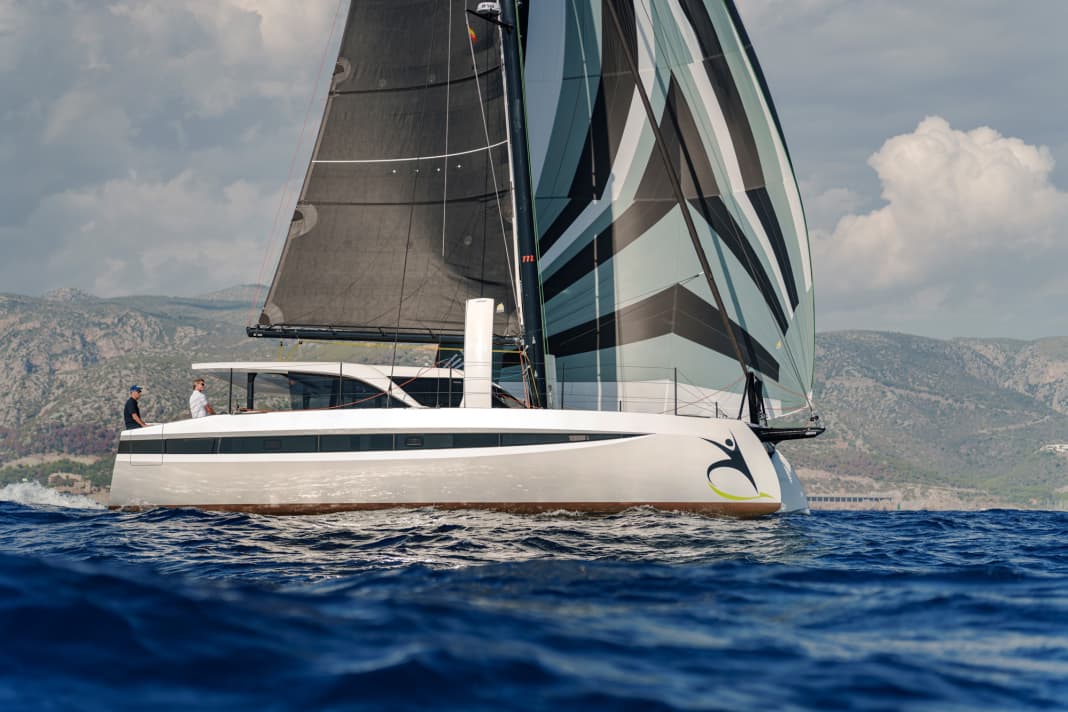 Clean, straight hull lines and high speed even in moderate winds. The HH 44 looks the way it sails. Centreboards and carbon rig are optional performance boosters