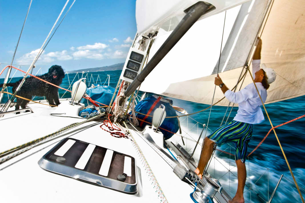 Very experienced dogs can also sail on deck. However, a lifejacket is recommended