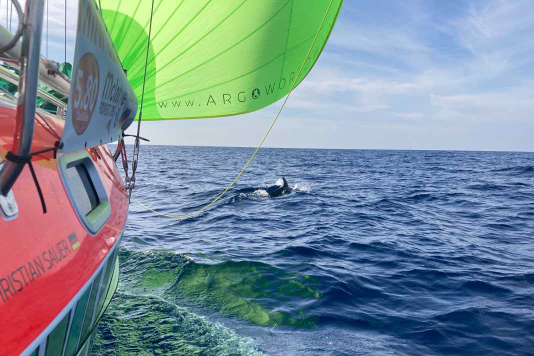 The conditions at the Globe 5.80 were mostly favourable, but also challenging.