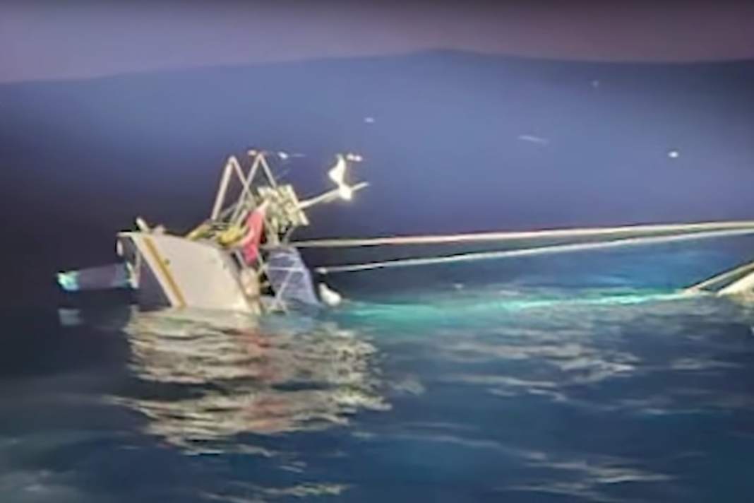 Orca attack: pictures of the sinking of the "Bonhomme William"