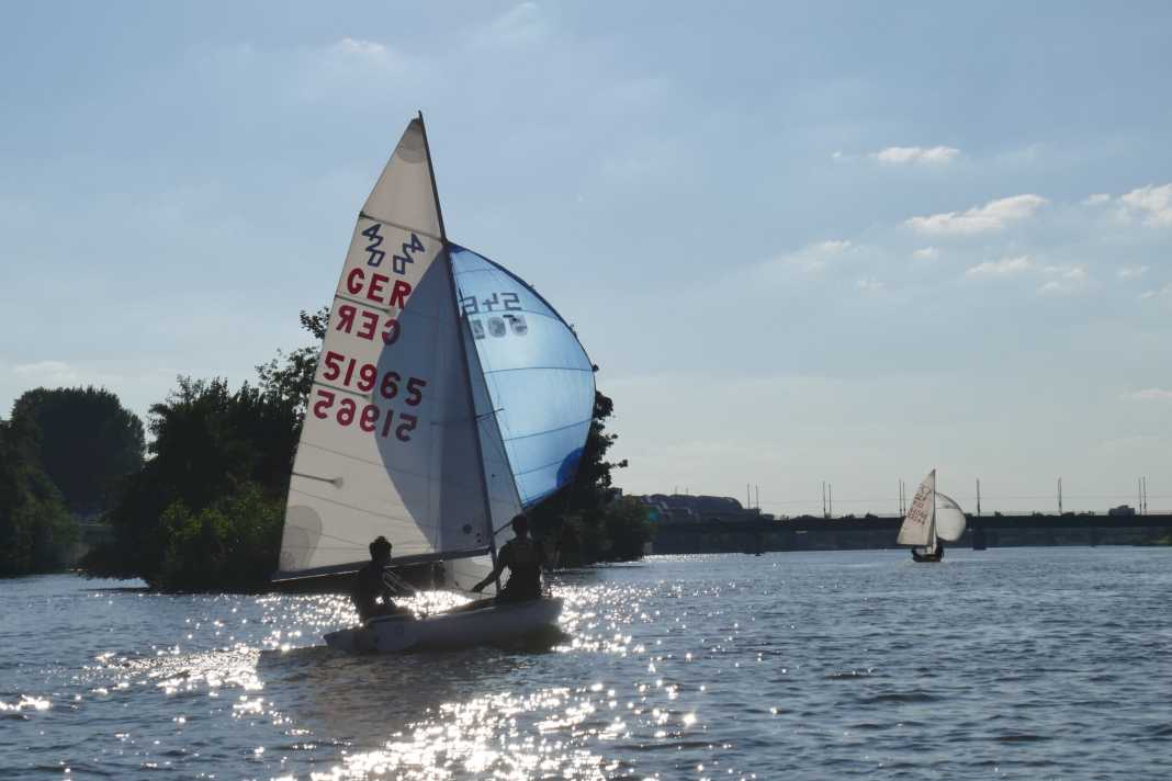 La voile, la voile et encore la voile : voilà ce qui anime les membres du club nautique de Heidelberg-Ouest.