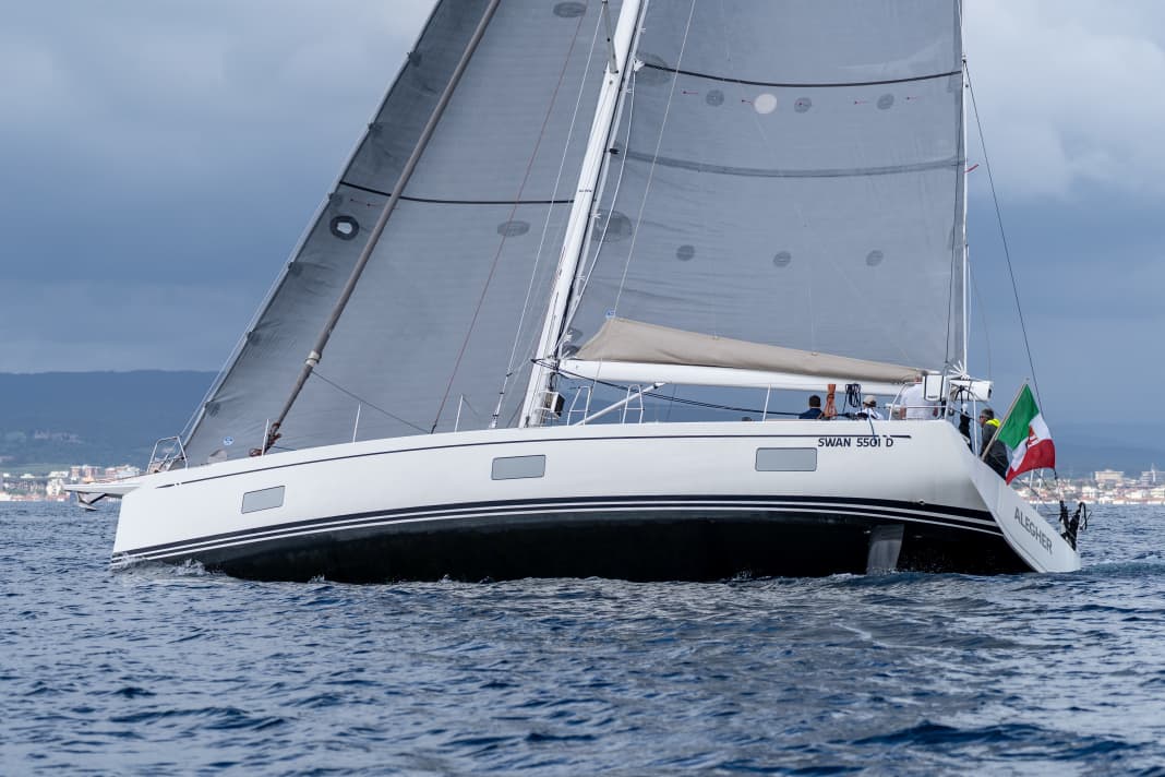 Cigno elegante. Linee tese, poppa ampia, bordo libero moderato. Due pale del timone sono montate a poppa