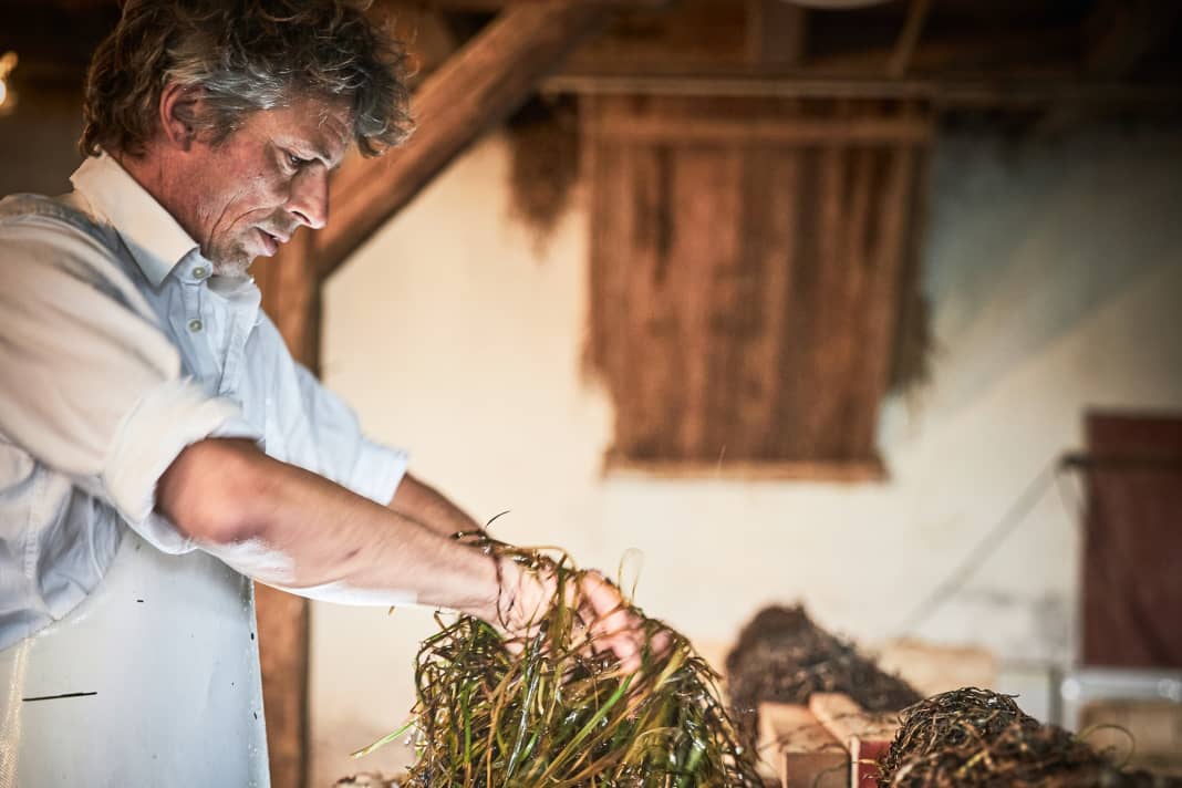 Dans sa manufacture de la plage, Kristian Dittmann fabrique des coussins et bien plus encore à partir d'algues - une matière première fascinante.