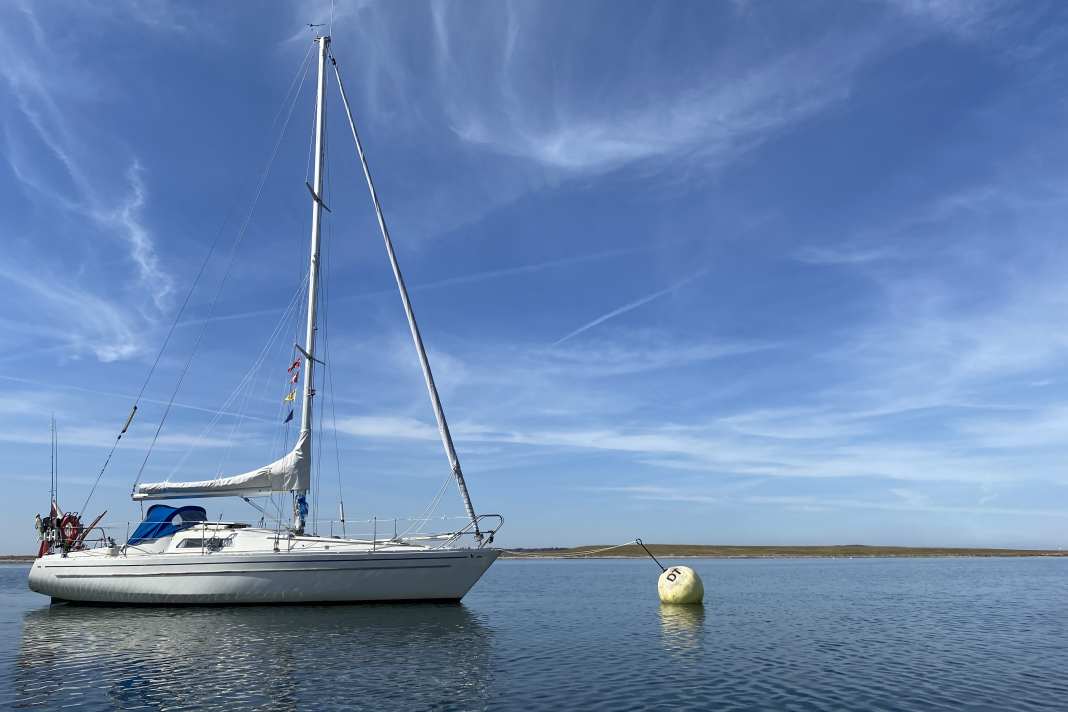 Segelboot vor Muringboje der Danske Tursejlere (DT)