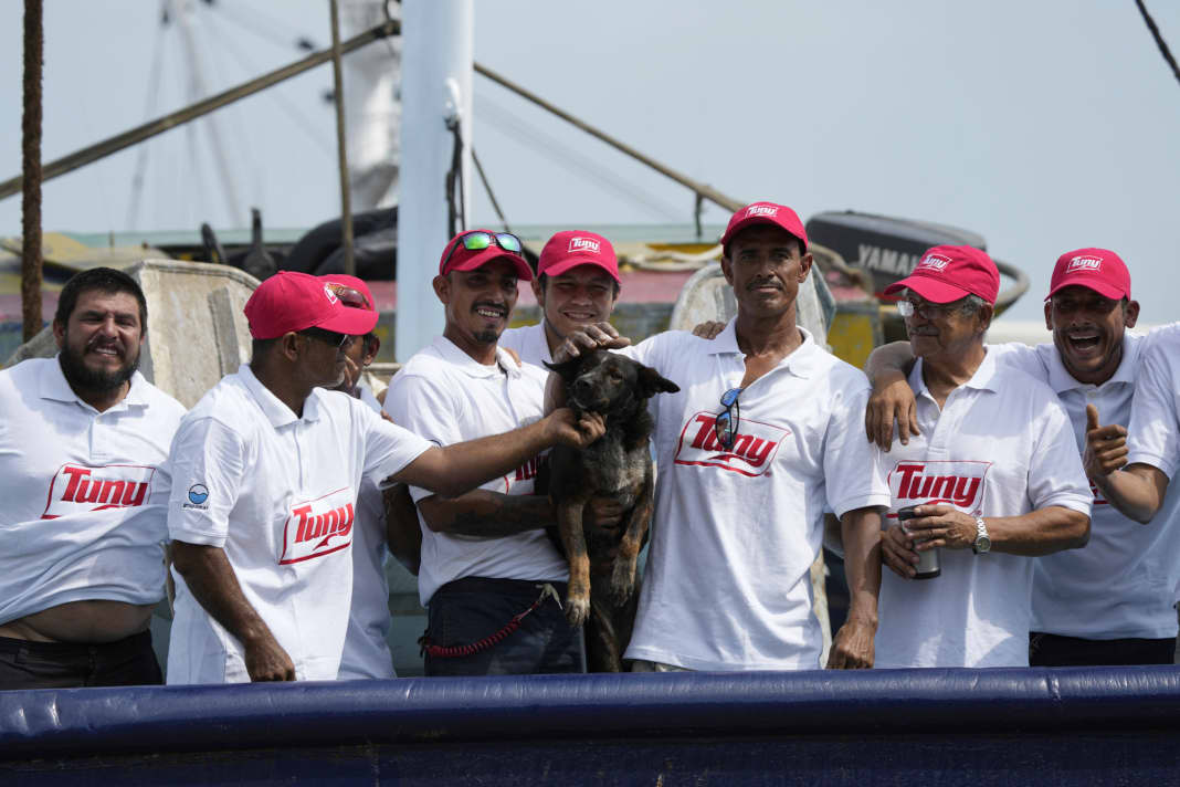 The crew of the trawler took the dog to their hearts immediately after the rescue operation in the Pacific