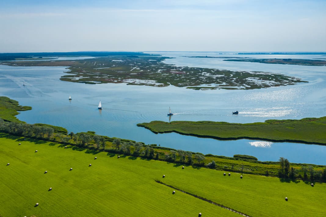 Works: peaceful coexistence of pleasure craft and nature in the Western Pomerania Lagoon National Park