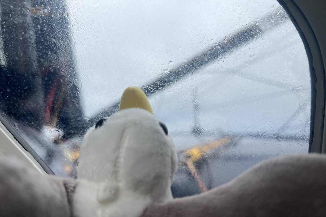 Clarisse Crémer a réalisé cette image emblématique de l'albatros en peluche avec vue sur la mer grise sur "L'Occitane en Provence".