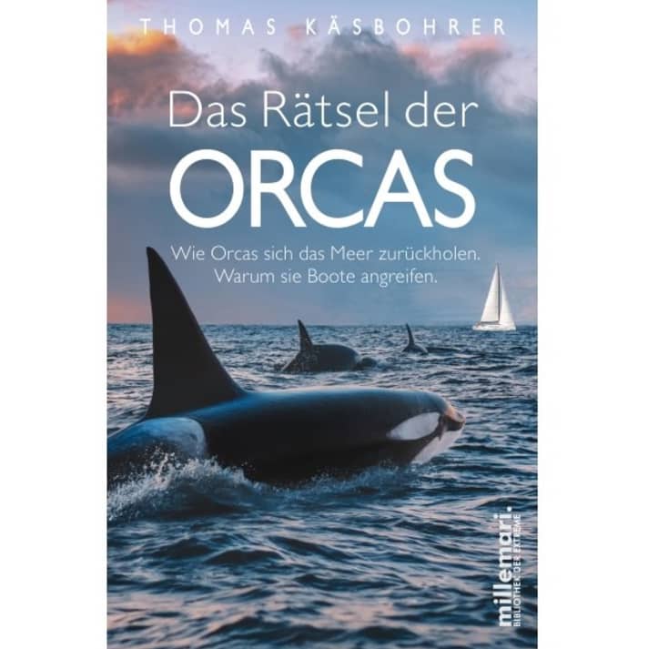 yacht/07-21-12-16-38-das-ratsel-der-orcas-millemari-und-6-weitere-seiten-geschaftlich-microsof_2c1fe0c638f48a1f5ada5baec1263278