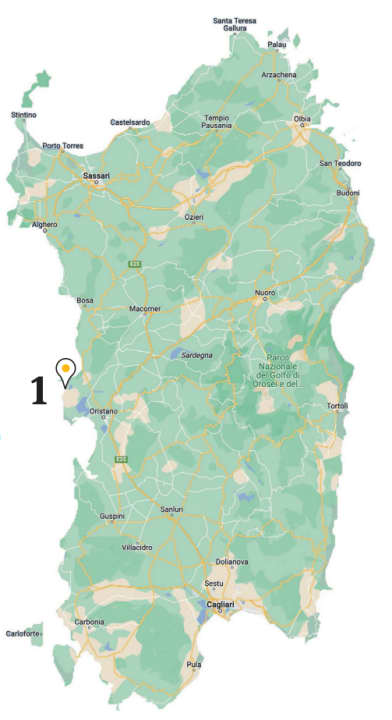 surf/image_cc12c29c233065f142a28316ddf93ff9