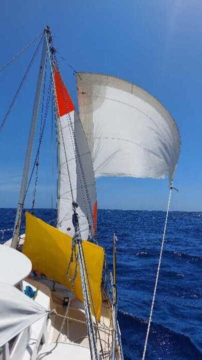   With spinnaker pole, sheet and storm jib, the 12-metre yacht pushes its way across the Pacific
