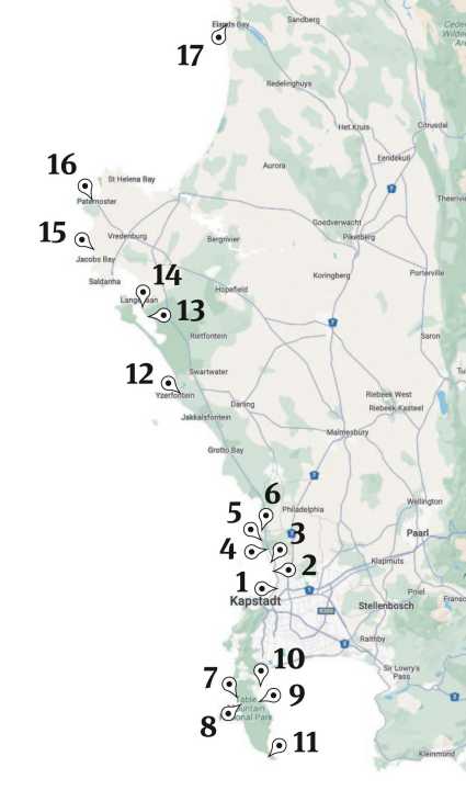 Most of the spots are concentrated in Table Bay, but the wild Cape and the lonely north also offer alternatives worth seeing.