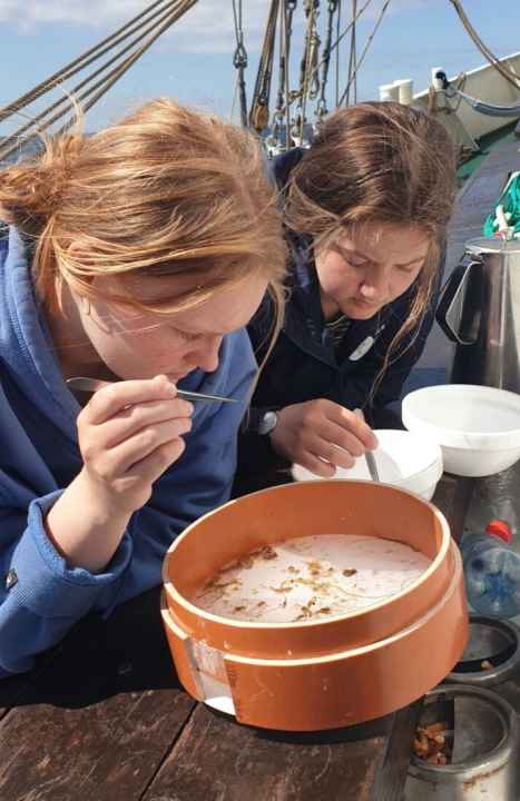   L'analyse des échantillons de particules a révélé partout la présence de microplastiques