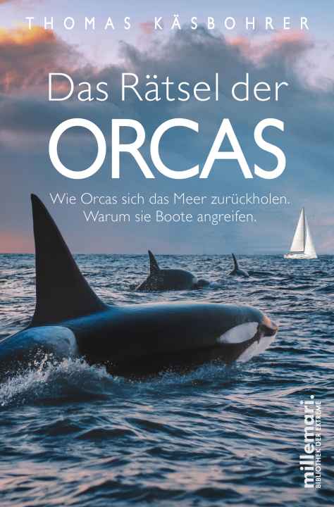 Was hinter den Angriffen steckt: Autor Thomas Käsbohrer über das Rätsel der Orcas, wie sie sich das Meer zurückholen, warum sie Boote angreifen