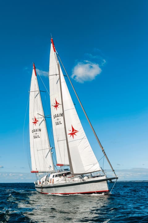 Frachtsegler „Grain de Sail“ mit einer Ladung Champagner für die USA – 200 Jahre nach Charles Heidsiecks Geburt