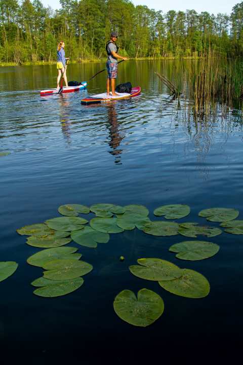 Silence on the waters of Meck-Pomm