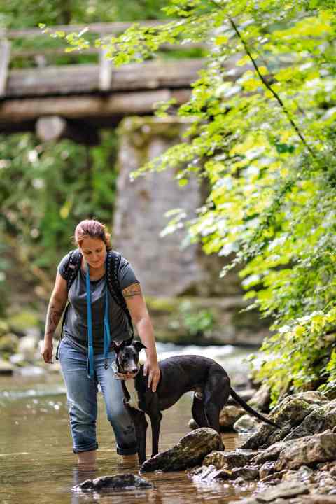 sup/M3756914_0d4aeb9a6fb6875ebd1f905047ed297b