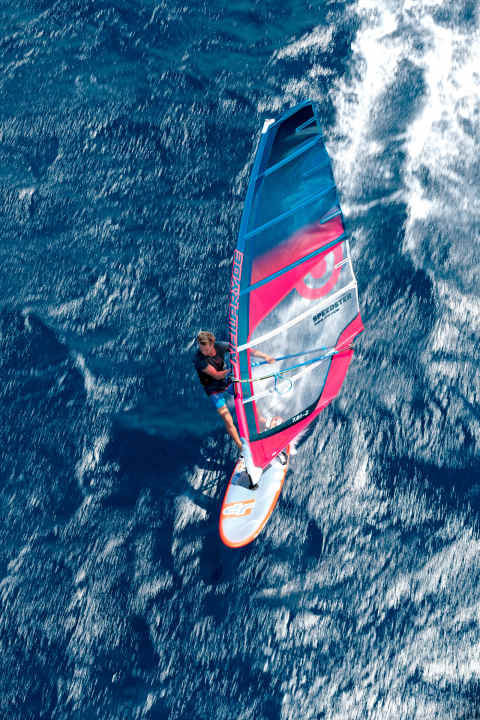   Freeracesegel Neilpryde Speedster 2018 