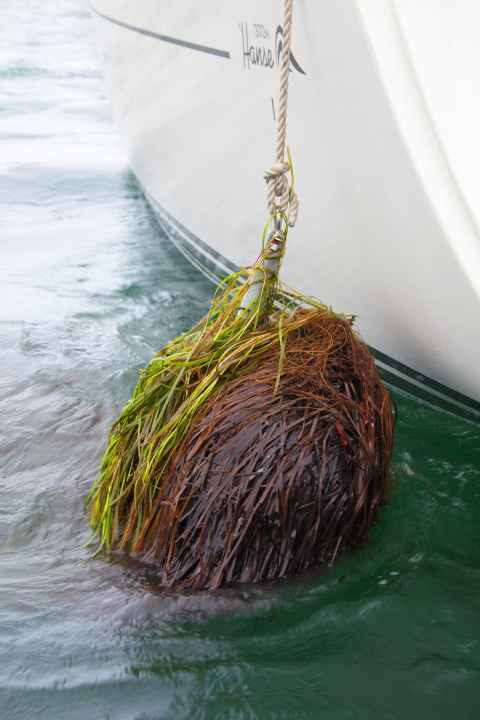Seaweed. Instead of digging in, the ground bar slides over the ground and mows down the vegetation