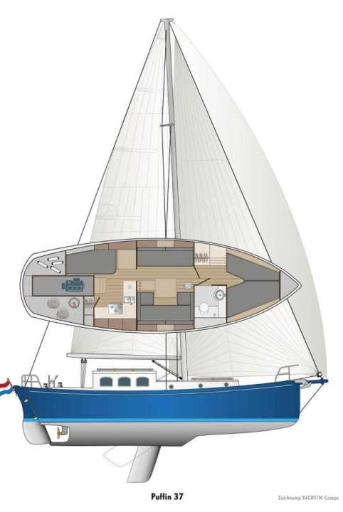   Disegno del pulcinella di mare 37