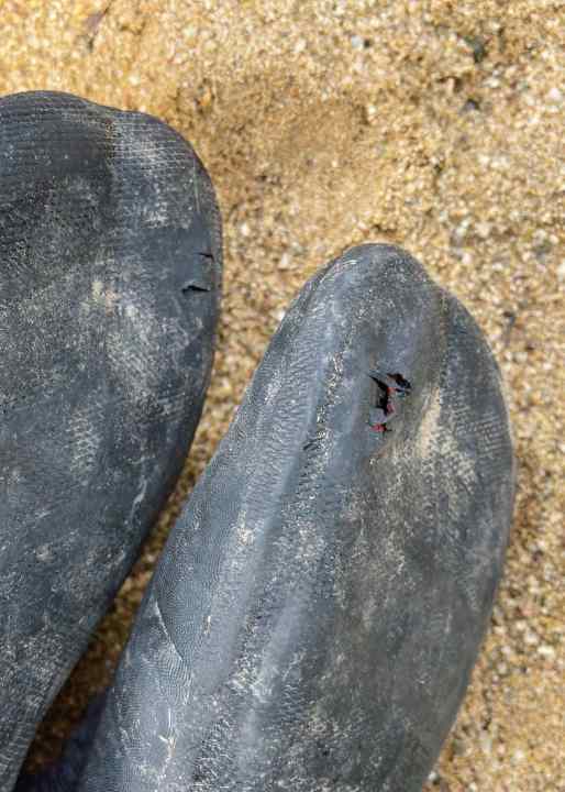 Over time, they often wear through in the big toe area. However, they can be bought second-hand without holes - and can often be found for around 20 euros.