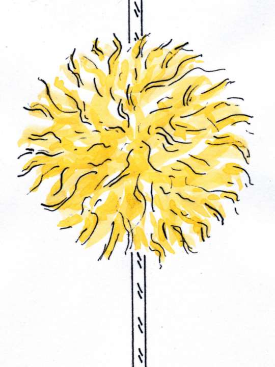 yacht/100085046_e5ea2e5151aac2af3279e28a187dd154