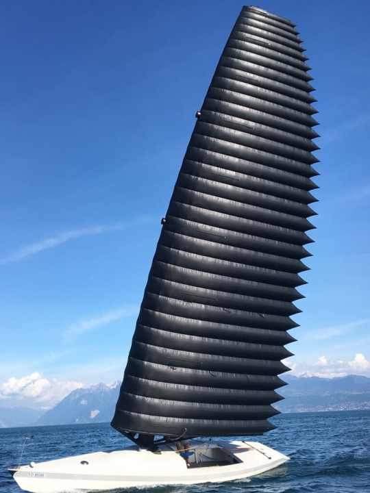   Voiles d'aile infléchies