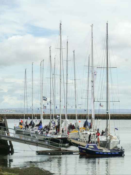   The fleet of ocean-going yachts after arriving in Edinburgh