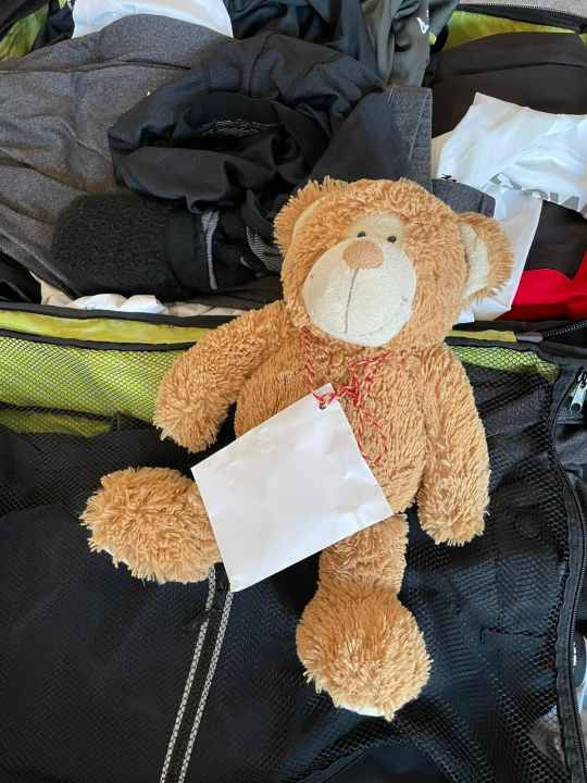 Bereit für die Vendée: Maskottchen Alphonso