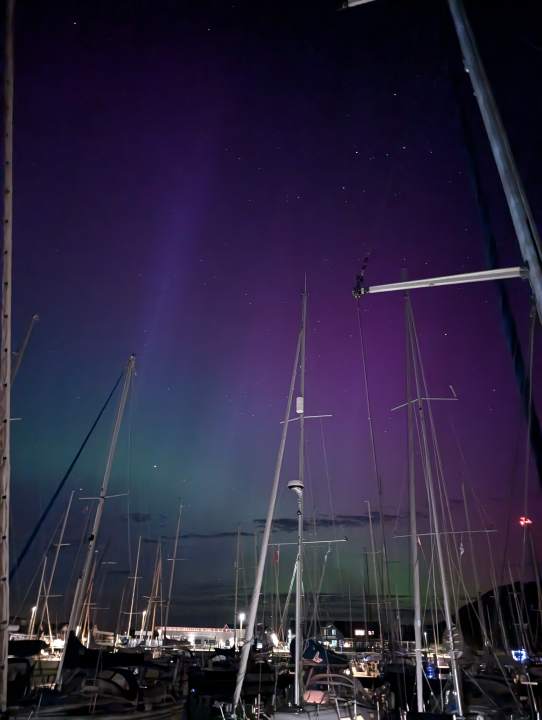 Jule Rieker ha osservato e fotografato questo spettacolo naturale su Anholt intorno alle 23.30.