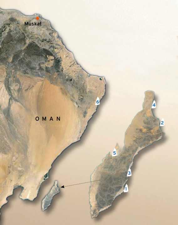 surf/Bildschirmfoto-2022-05-23-um-23_06_12