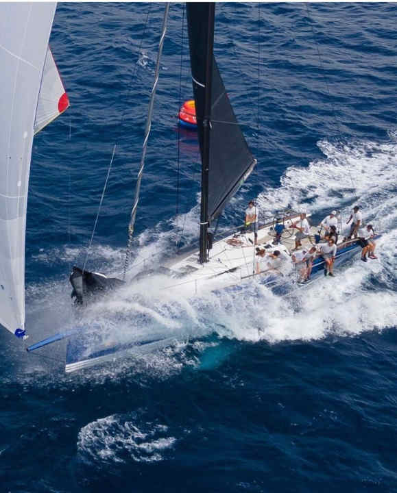   Wow-Bild von der "Hatari"-Konkurrentin "Balthasar" mit dem neuseeländischen Taktiker Hamish Pepper