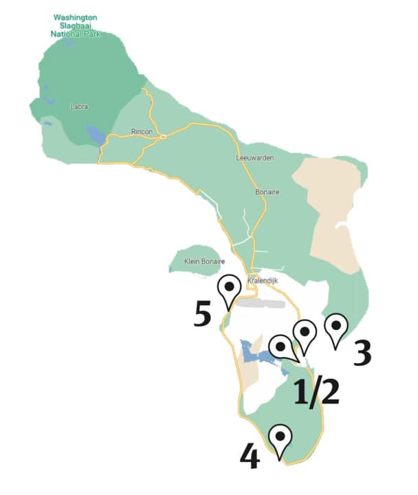 Die Windsurfspots auf Bonaire