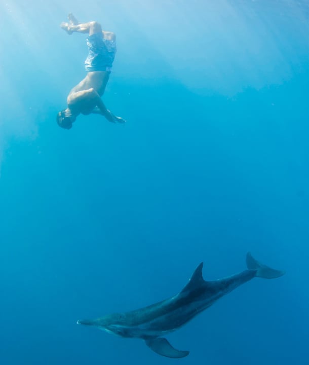 Mr Waterman likes to share a wave with marine mammals. With humans, he prefers to maintain his dominance on the water.