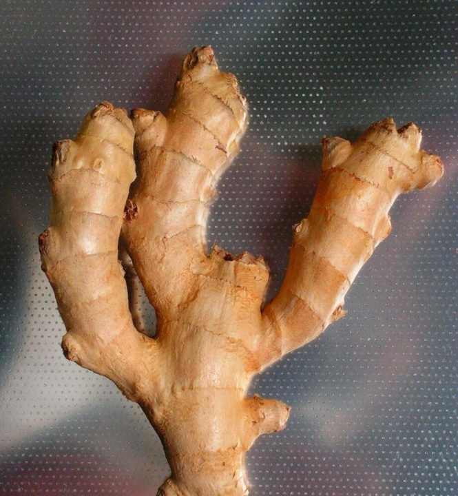 Calms the stomach and can also help against nausea: Ginger