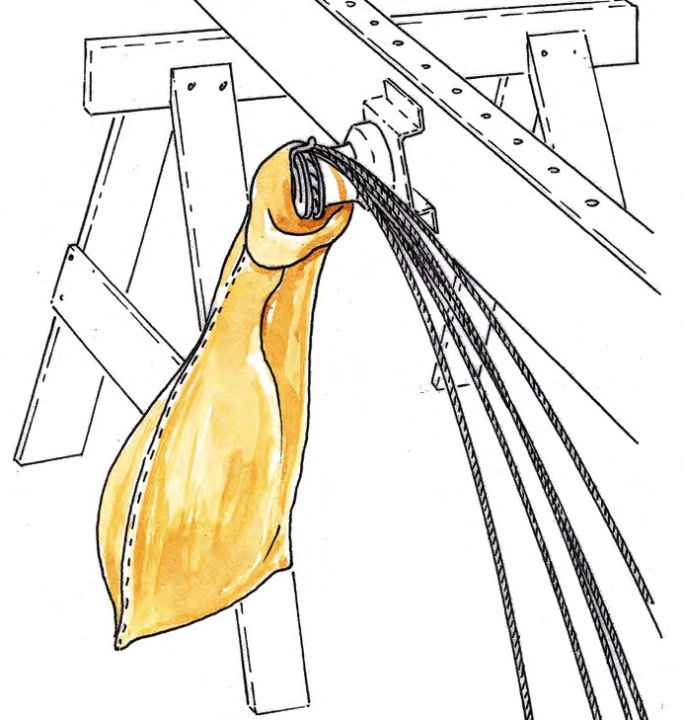 Trucchi per la vita dell'albero