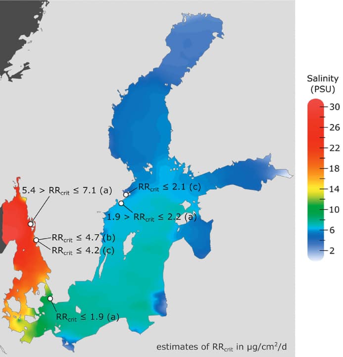 Salinity of the Baltic Sea and biocide use
