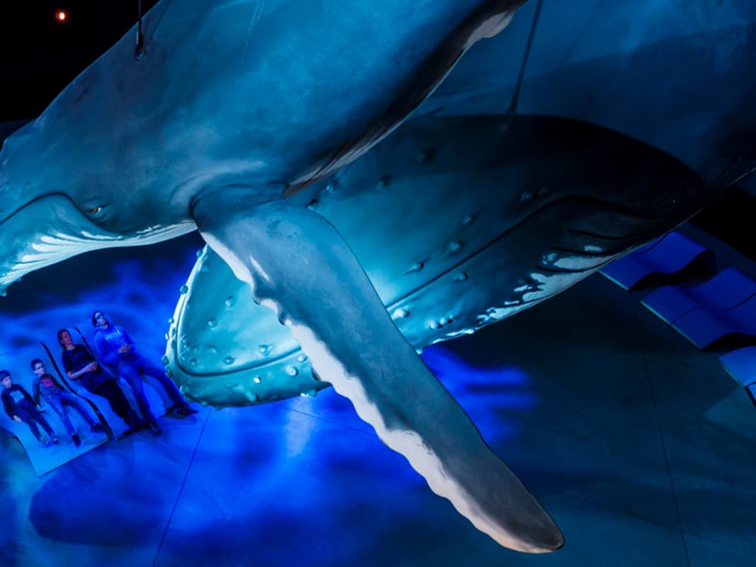 Maritime Museen - sechs Highlights