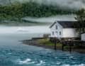 Underway in the fjord: The 50 metre long "Ann G" pushes through the fog