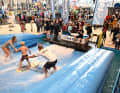 Action zum Mitmachen: Wie wäre es mit Surfen auf der stehenden Welle in Halle A5?