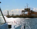 Just before Öregrund, we pass the ferry that runs between the town and the island of Gräsö