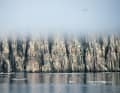 The basalt columns of Alkefjellet are home to thick-billed guillemots, ...