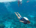 Dive like a dolphin: for 40 minutes at a maximum of six knots at a depth of up to 40 metres