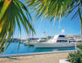 Yachts in the harbour of Varadero on the north coast of Cuba