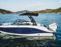 Bayliner V20