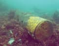 Une mine rouillée. On estime à 300 000 tonnes la quantité de munitions qui se trouverait dans la mer Baltique allemande