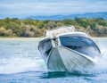 ... the deep V-hull with its pronounced steps coped well.