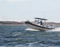 The RIB measures 8 metres in length.