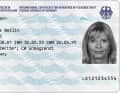 Discussion sur le permis de conduire des bateaux de plaisance