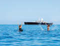 Water fun: The Perini Navi has everything that is fun in the water for twelve guests.